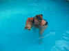 Cooper swim.jpg (52354 bytes)