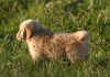 Eros 8 weeks 4.jpg (721446 bytes)