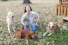 Sammy and friends 2.jpg (309741 bytes)